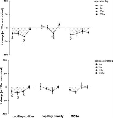 Knee Extensors Muscle Plasticity Over a 5-Years Rehabilitation Process After Open Knee Surgery